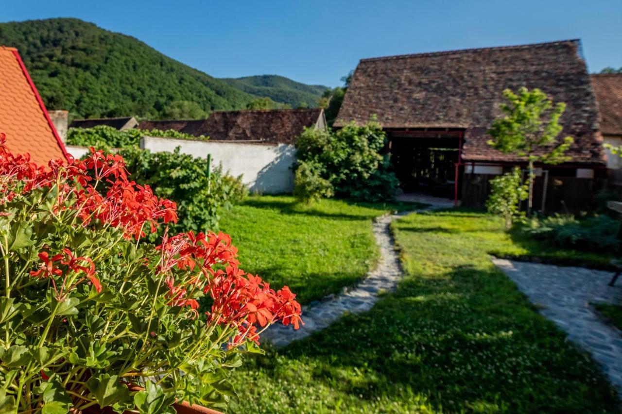 Casa Paulini Cisnadioara Exterior foto